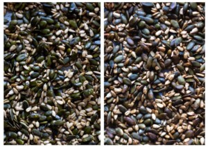 Side by side photos of the sunflower and pumpkin seeds before and after roasting