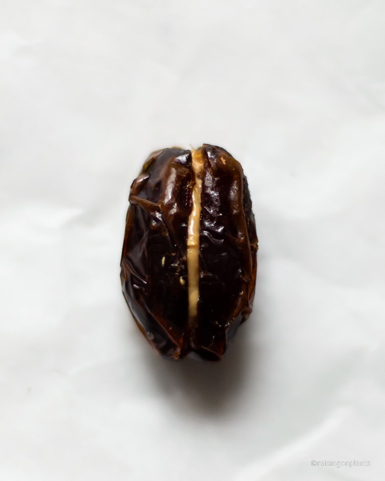 A stuffed medjool date with peanut butter.